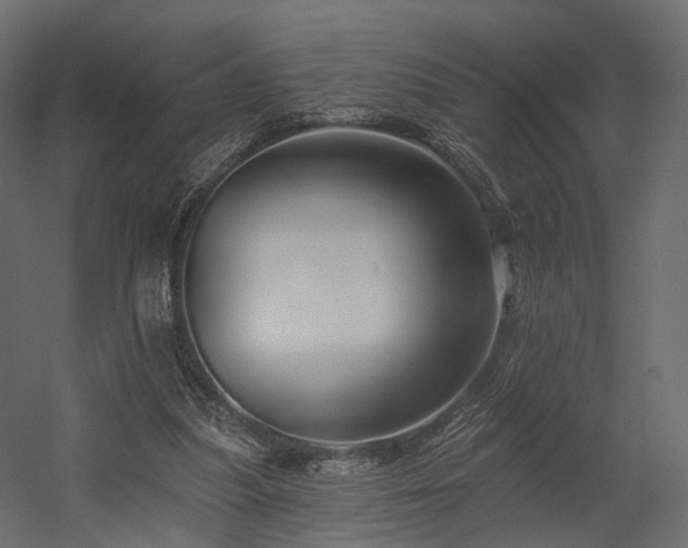 X0000054380251200507291125