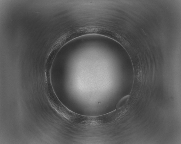 X0000054380254200507291125