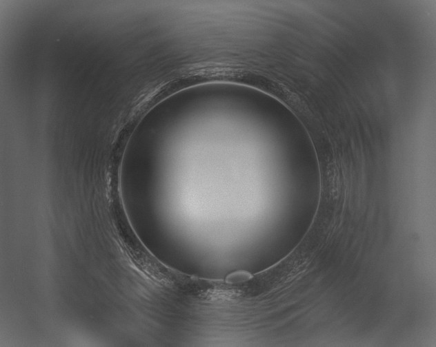X0000054380255200507291125