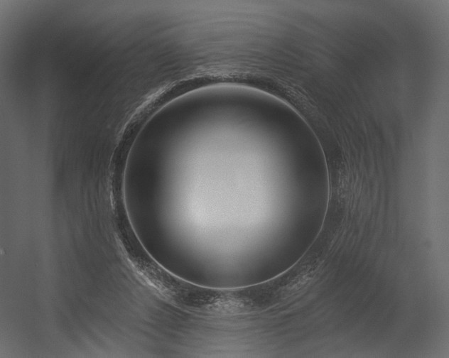 X0000054380256200507291125