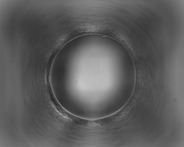 X0000054380257200507291125