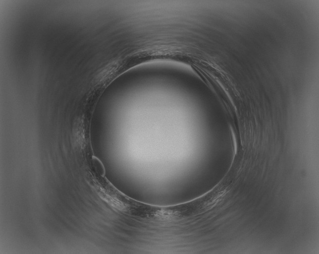 X0000054380261200507291125