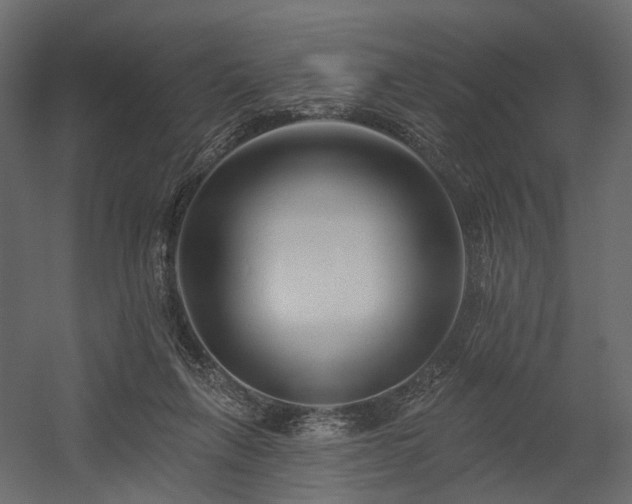 X0000054380263200507291125