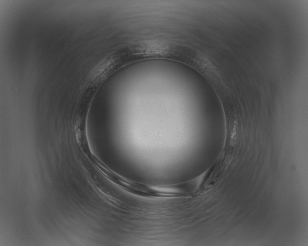 X0000054380264200507291125