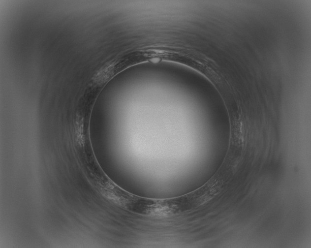 X0000054380267200507291125