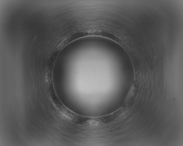 X0000054380272200507291125