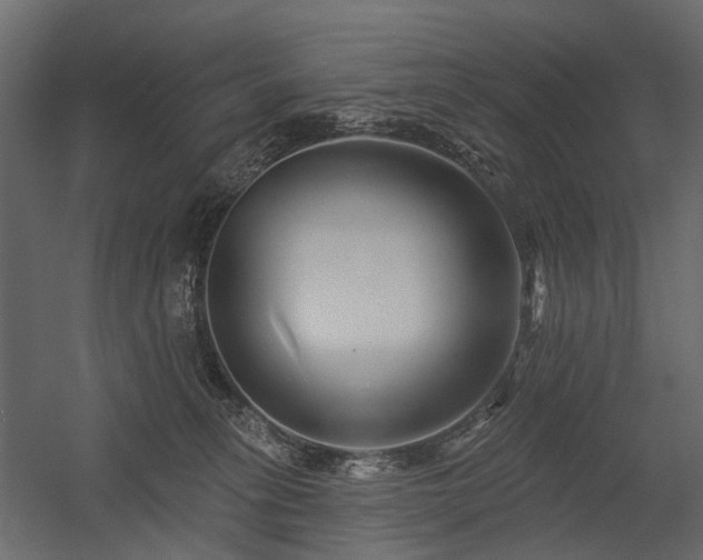 X0000054380275200507291125