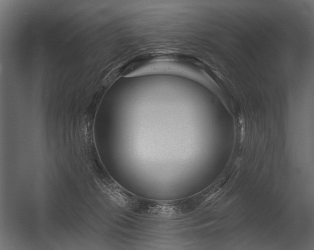 X0000054380276200507291125