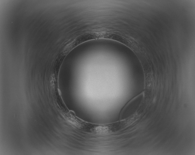 X0000054380279200507291125