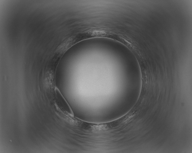 X0000054380281200507291125