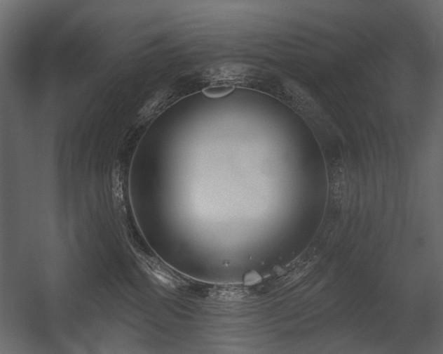 X0000054380282200507291125