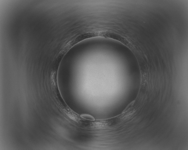 X0000054380286200507291125