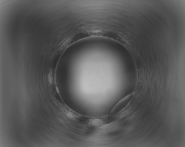 X0000054380287200507291125