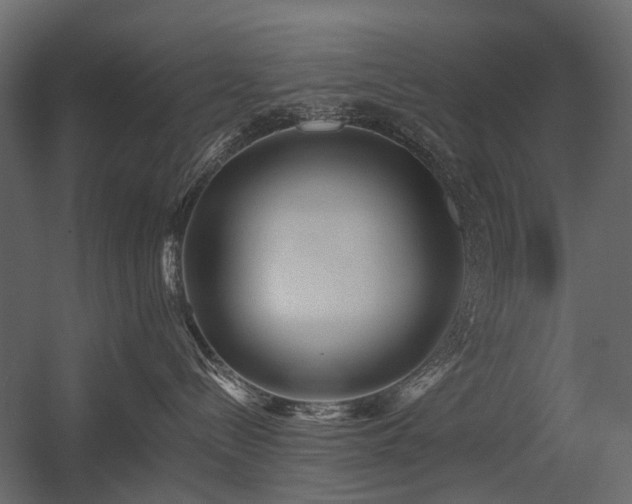 X0000054380288200507291125