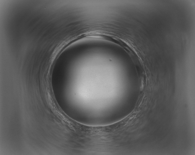 X0000054380289200507291125