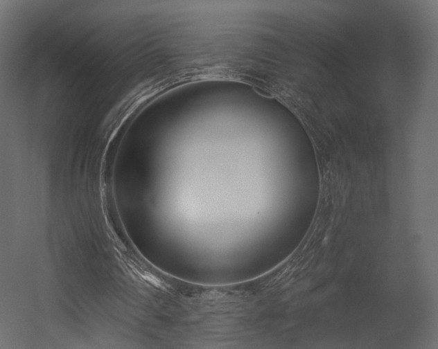 X0000054380290200507291125