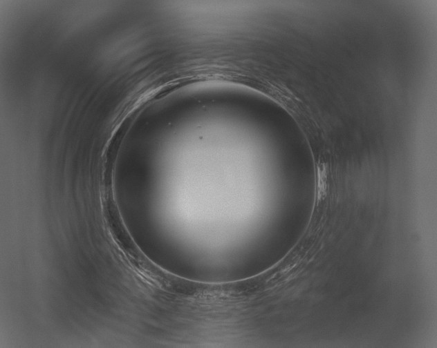 X0000054380291200507291125