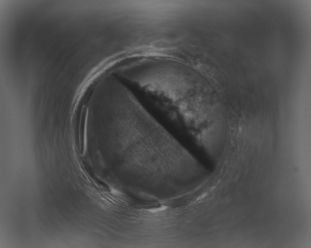 X0000054380295200507291124