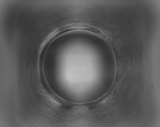X0000054380296200507291124