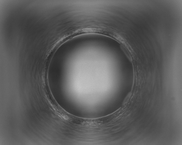 X0000054380297200507291124