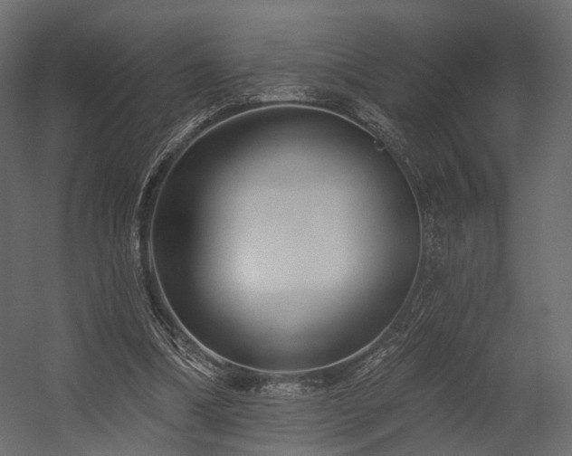 X0000054380298200507291124