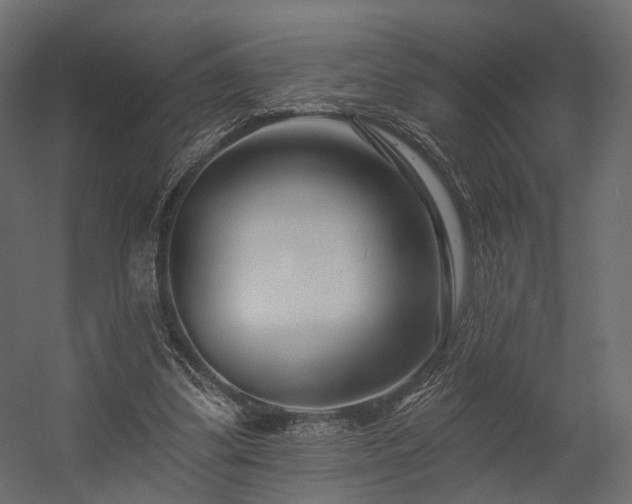 X0000054380299200507291124