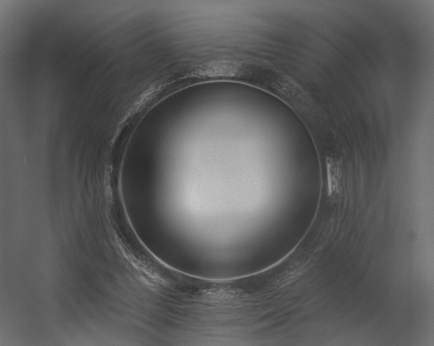 X0000054380300200507291124