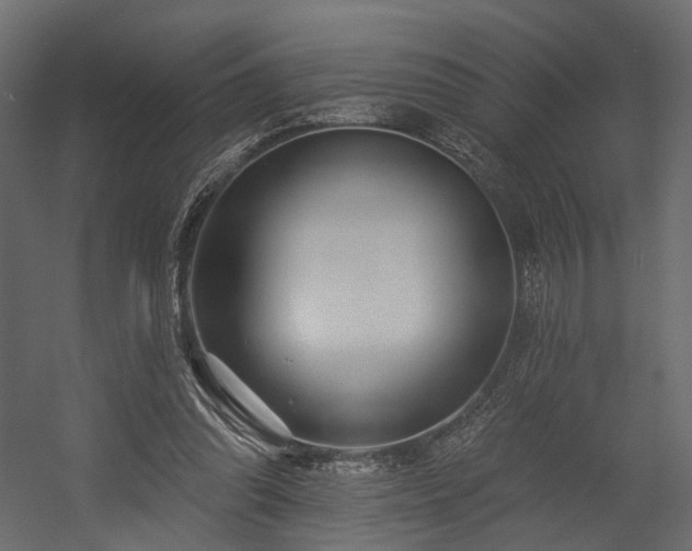 X0000054380302200507291124