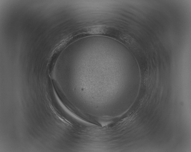 X0000054380303200507291124