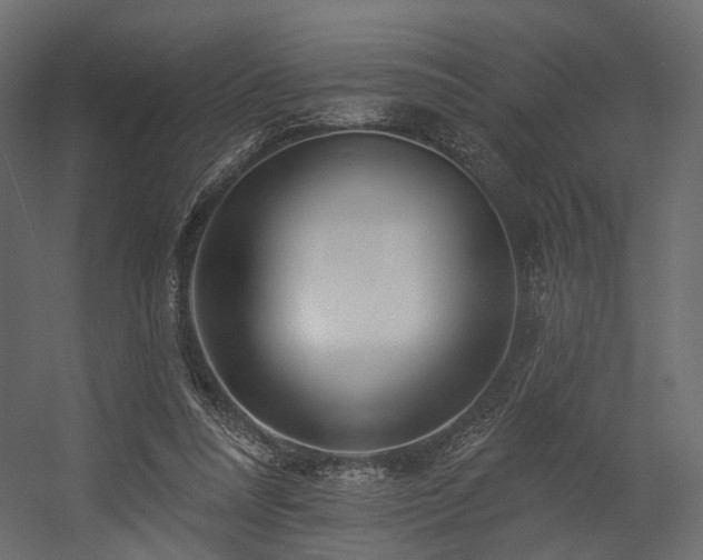 X0000054380304200507291124