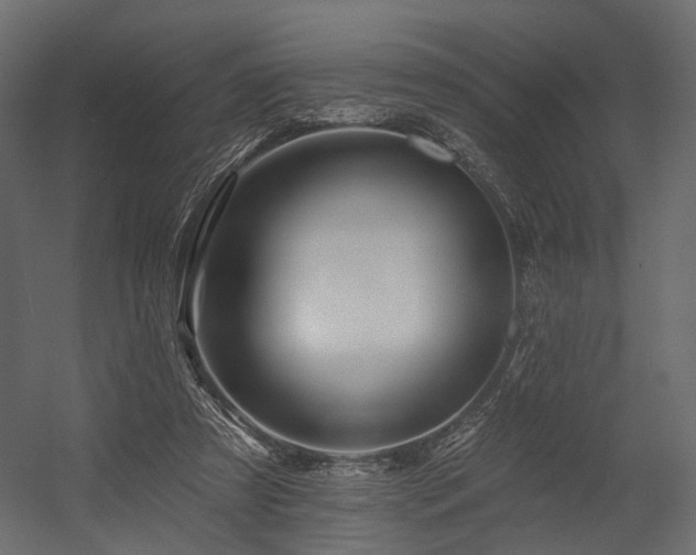 X0000054380305200507291124
