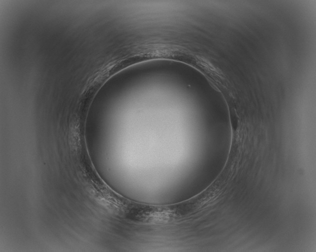 X0000054380306200507291124
