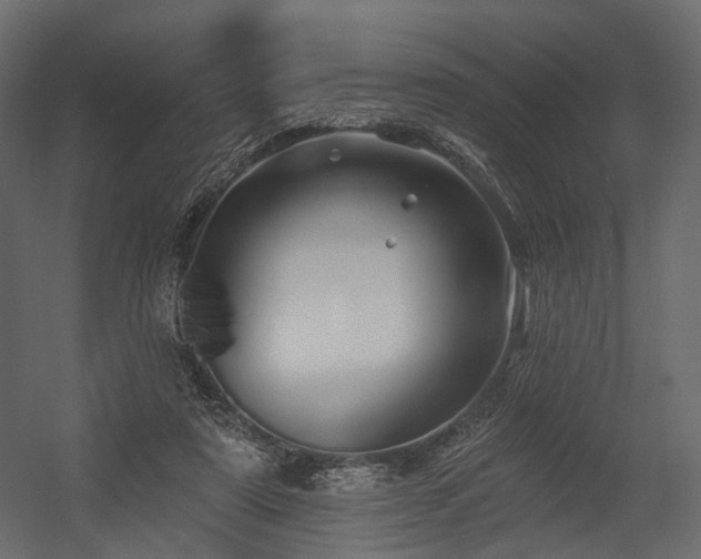 X0000054380307200507291124