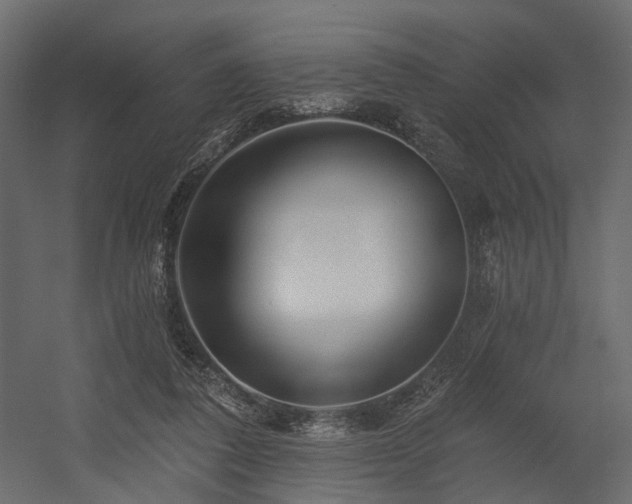 X0000054380308200507291124