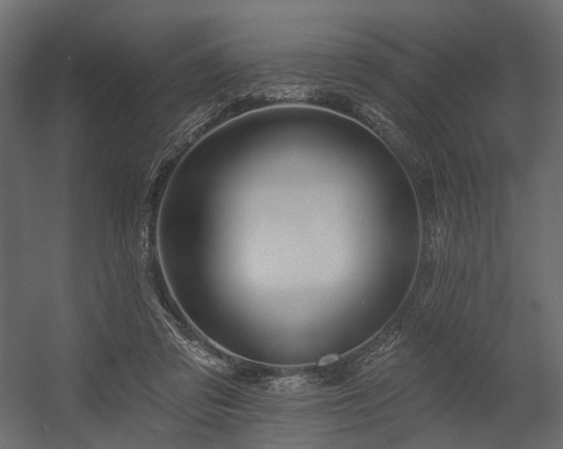 X0000054380309200507291124