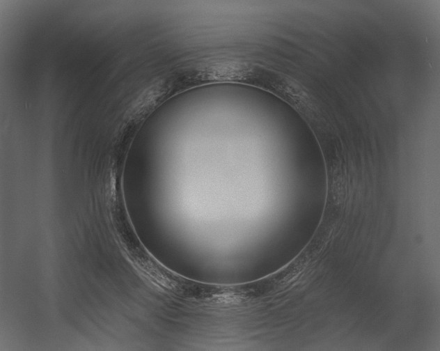 X0000054380310200507291124