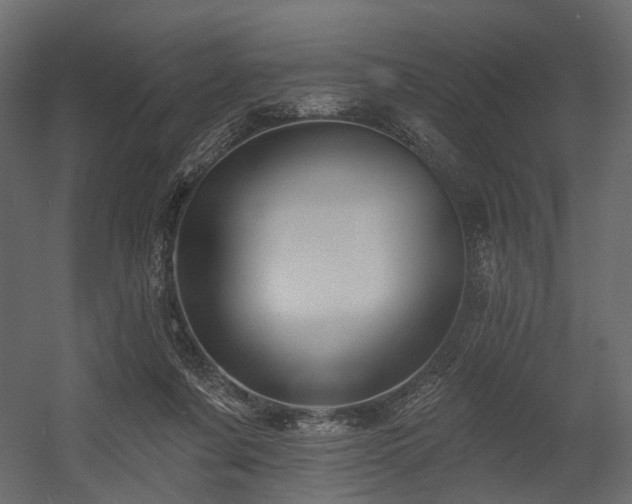 X0000054380311200507291124