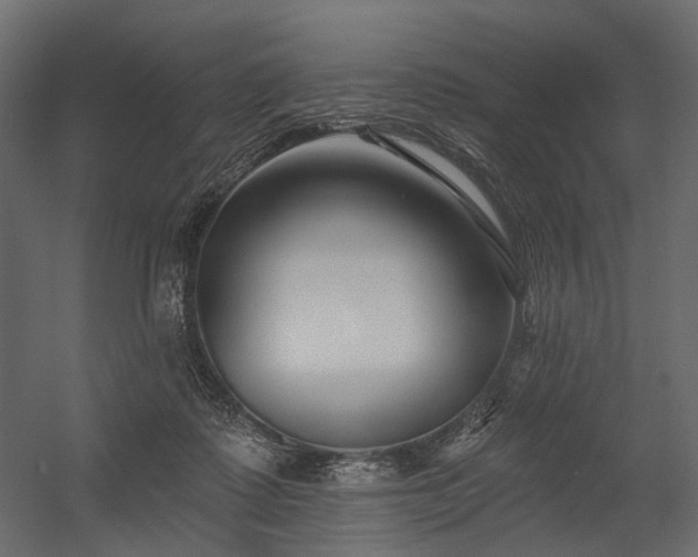 X0000054380315200507291124