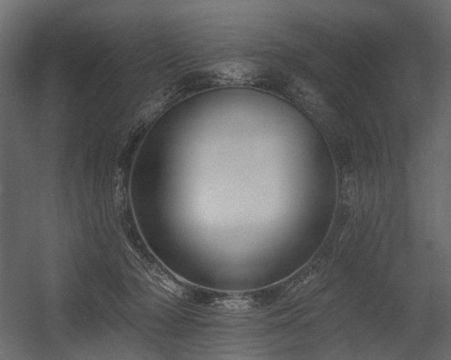 X0000054380318200507291124