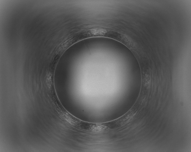 X0000054380321200507291124