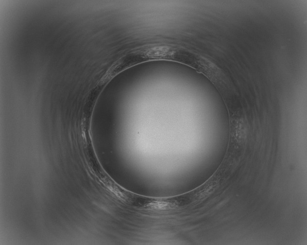 X0000054380326200507291124