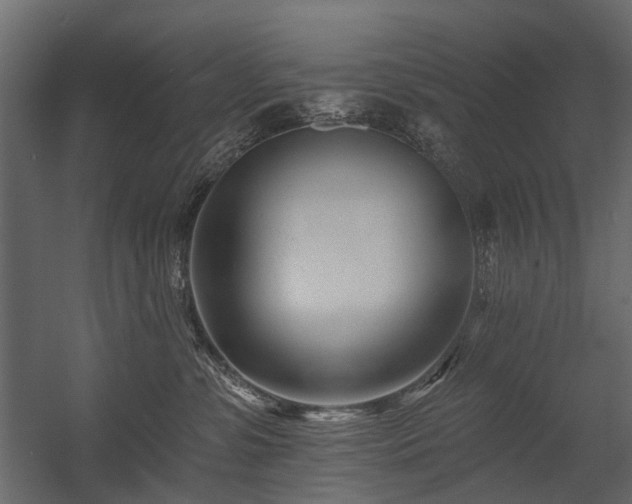 X0000054380331200507291124