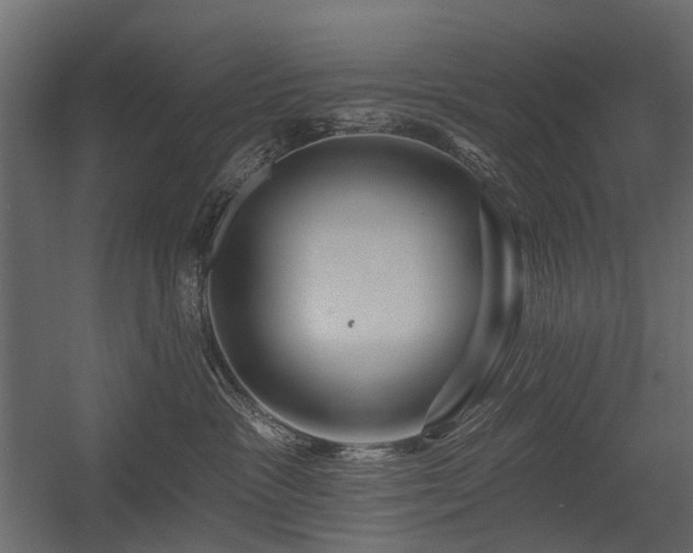 X0000054380333200507291124