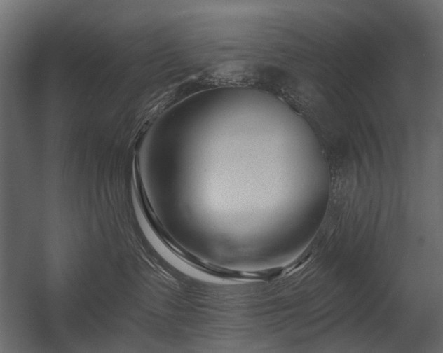 X0000054380335200507291124