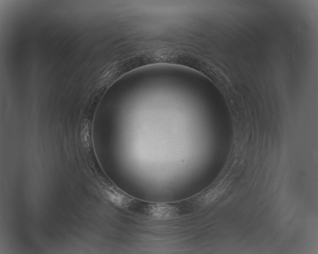 X0000054380336200507291124
