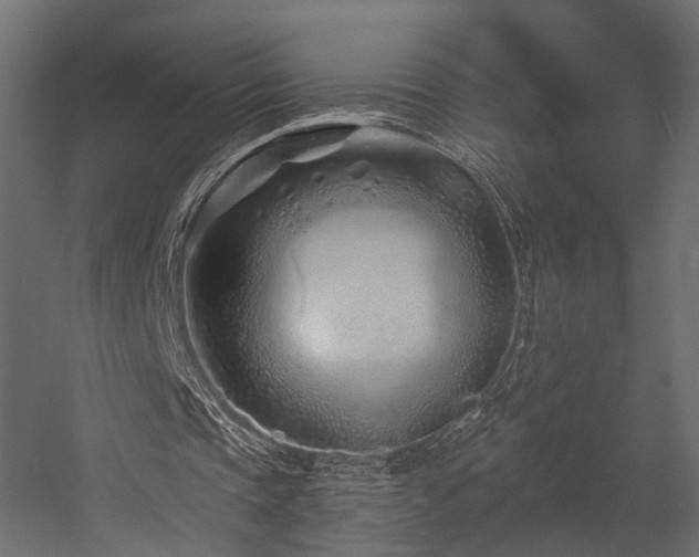 X0000054380337200507291123