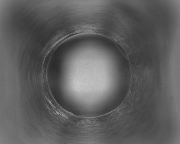 X0000054380338200507291123