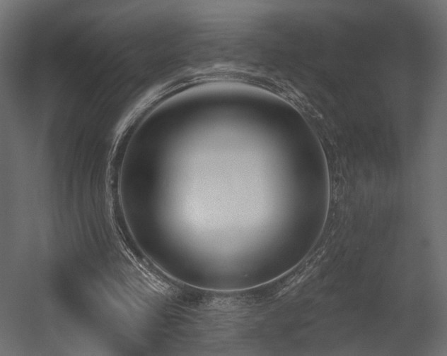 X0000054380341200507291123