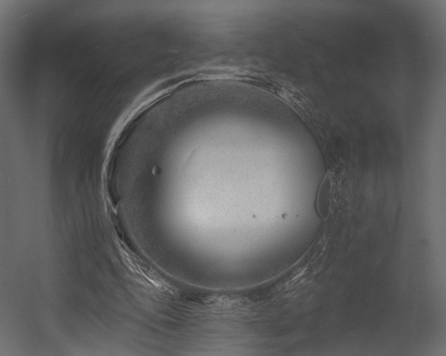 X0000054380343200507291123