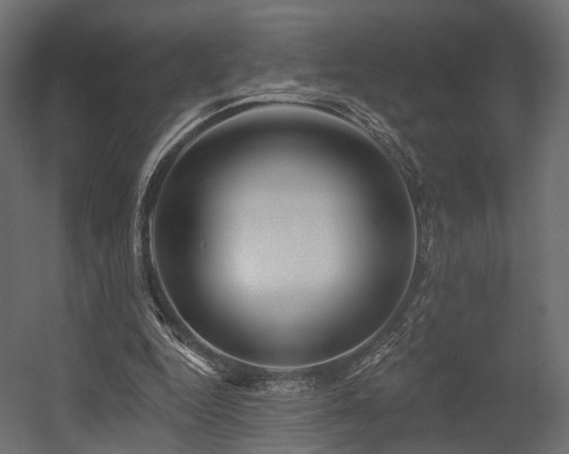 X0000054380344200507291123